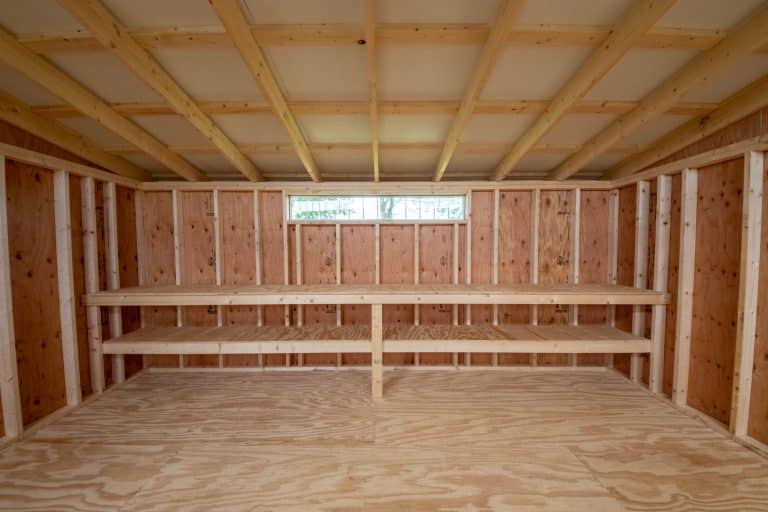 Spacious portable cabin interior with unfinished wood walls
