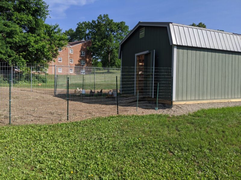 jefferson street oasis springfield ohio community garden with garden sheds 22