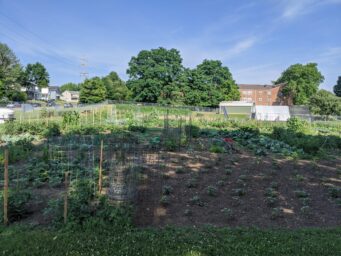 jefferson street oasis springfield ohio community garden with garden sheds 27