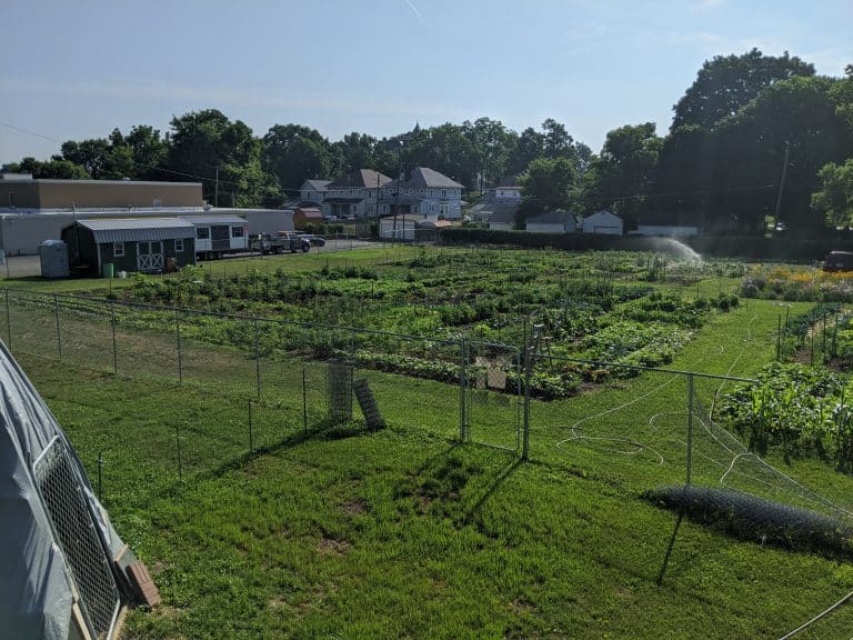 jefferson street oasis springfield ohio community garden with garden sheds 25