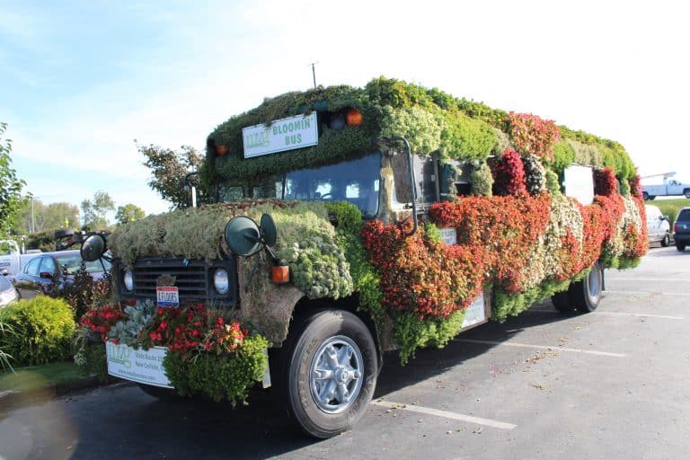 meadow view growers blooming bus