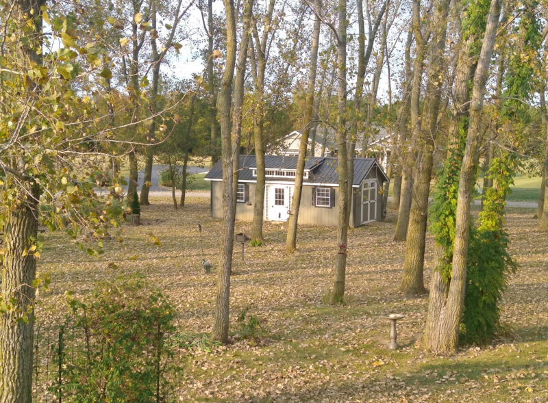 hangout shed retirement shed beachy barns ohio 2