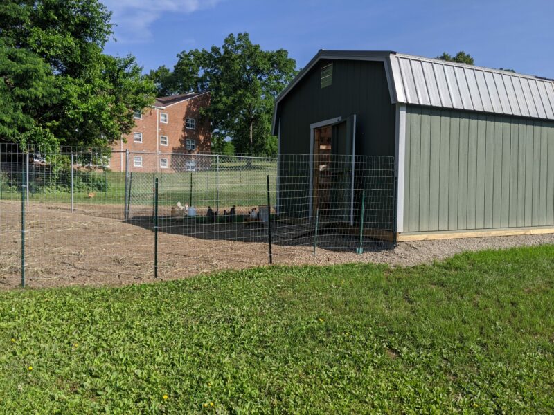 jefferson street oasis springfield ohio community garden with garden sheds 22