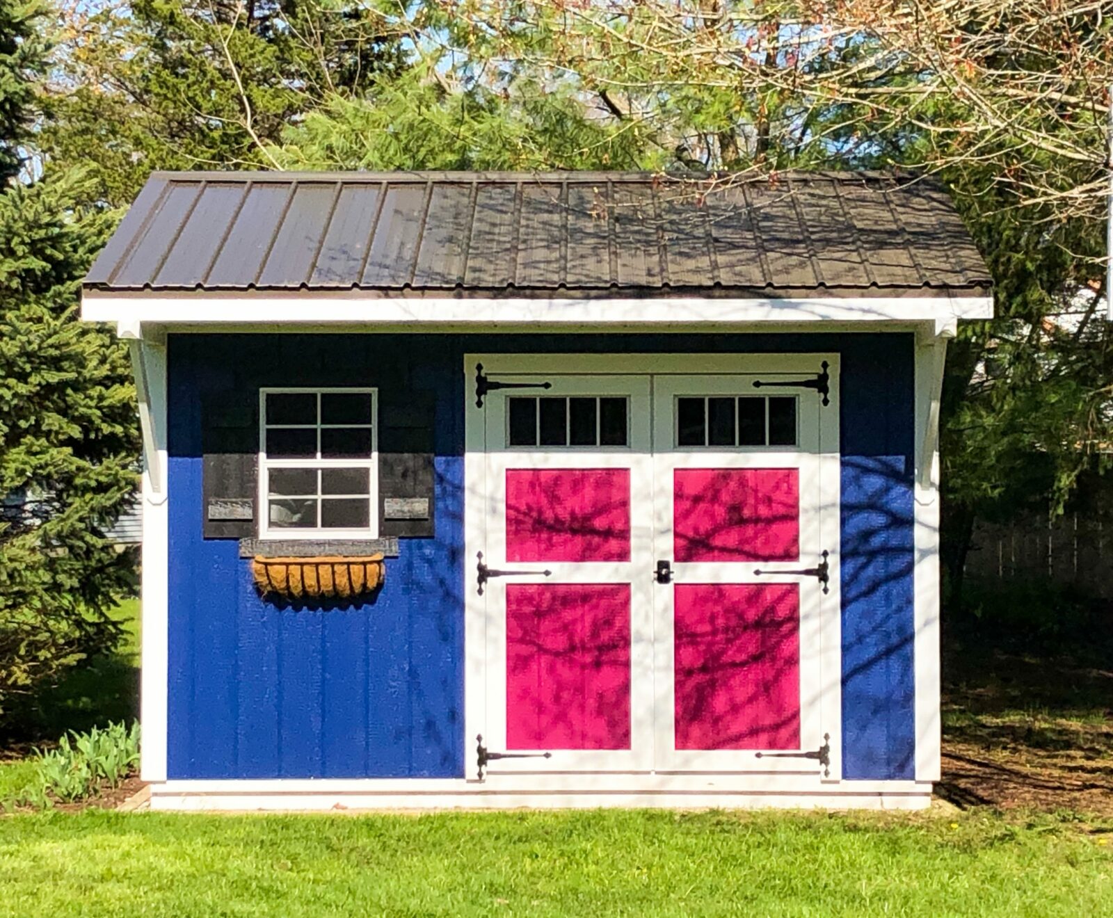 she shed near dayton ohio