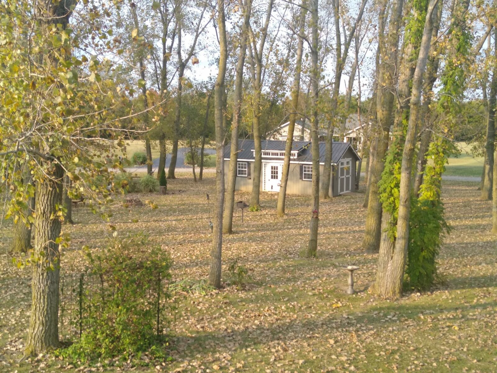 she shed for sale in near columbus ohio 2