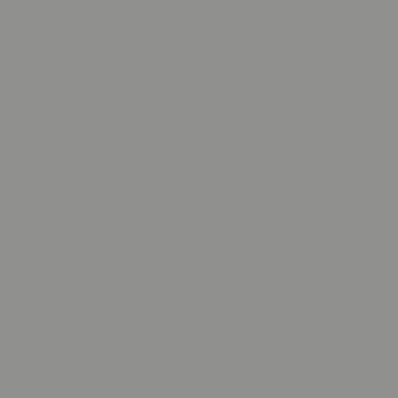 siding paint color dark gray